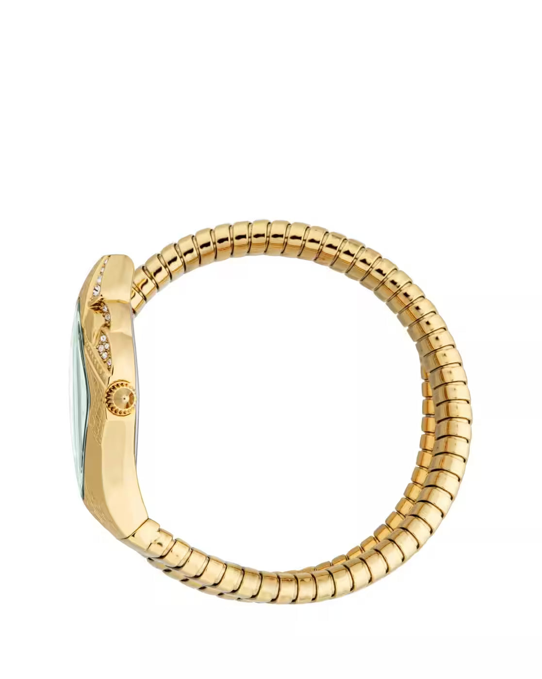 Just Cavalli Ferocious Yellow Gold Green Dial Ladies Watch - JC1L306M0045