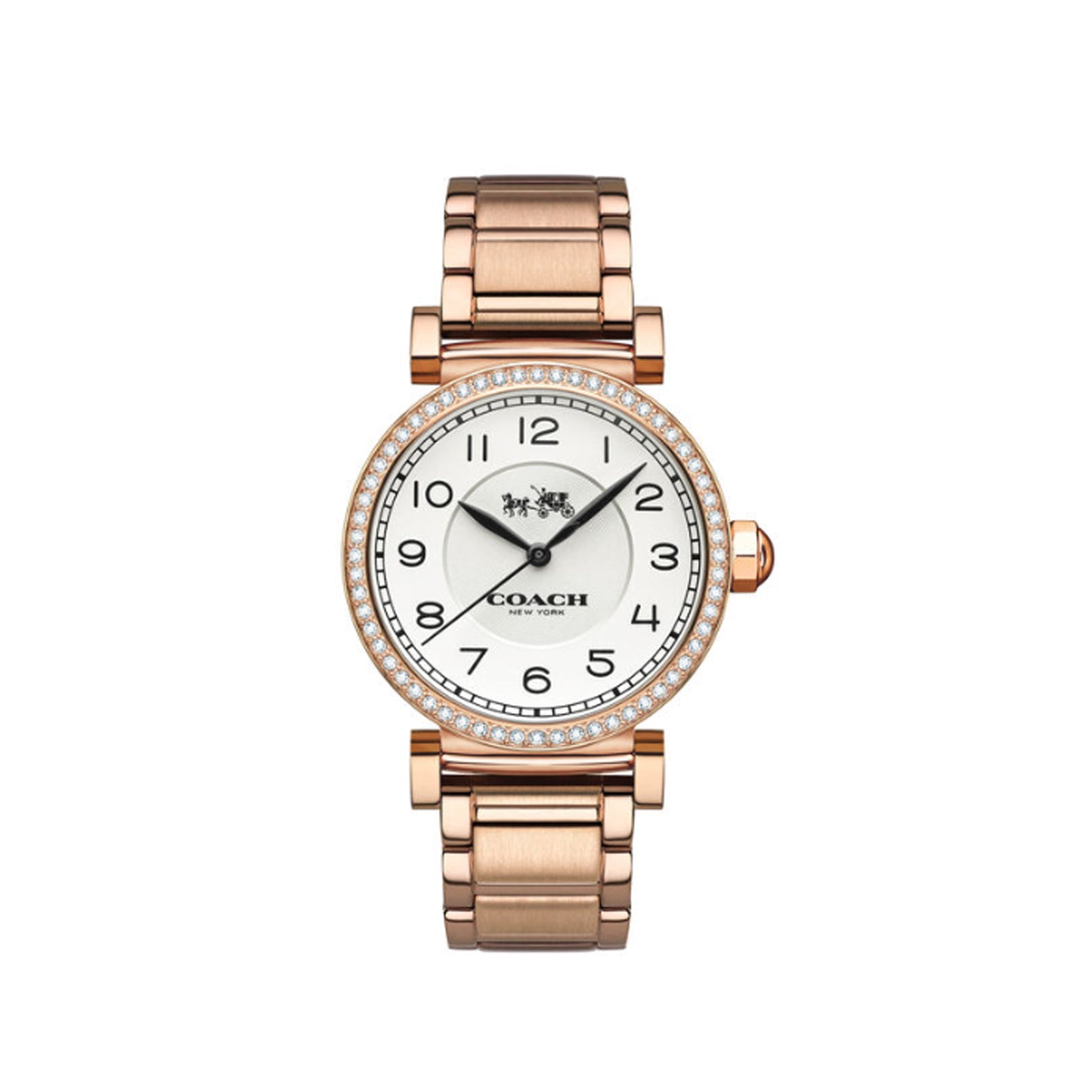 Coach Madison White Dial Ladies Watch- 14502398
