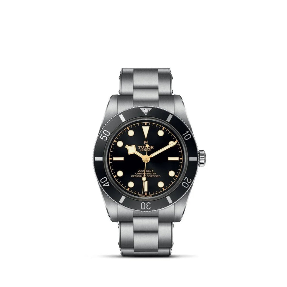 Tudor Black Bay 54- m79000n-0001