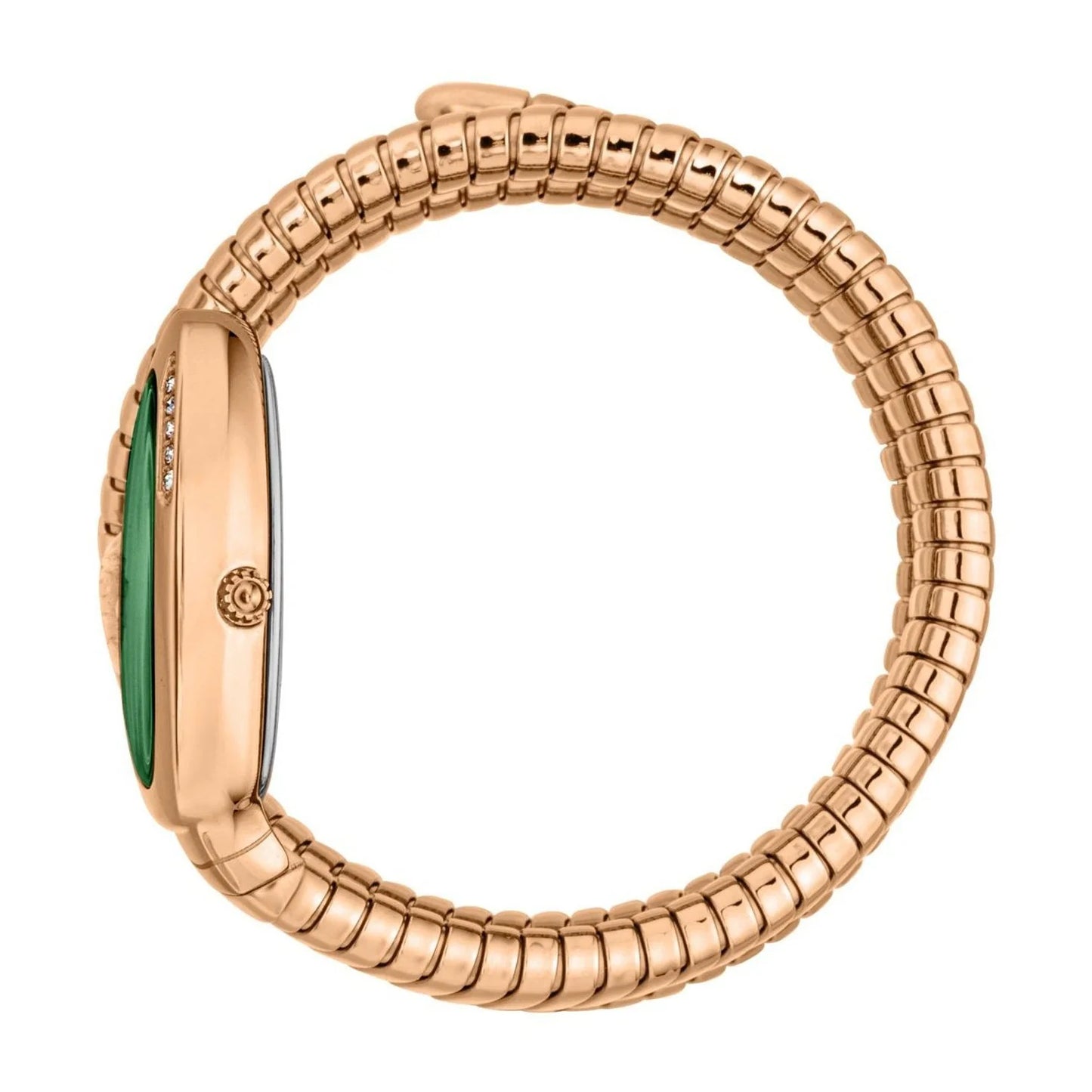 Just Cavalli Rose Gold Stainless Steel Green Dial Ladies Watch - JC1L230M0055