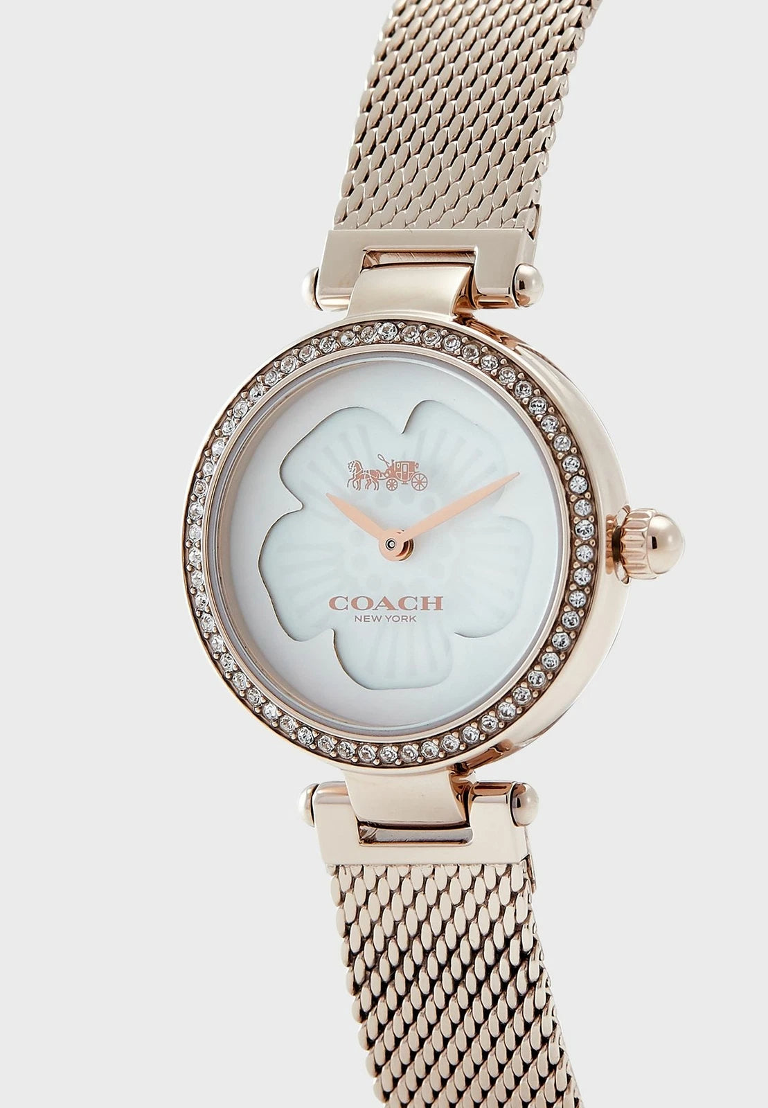 Coach Park Mother of Pearl Dial Ladies Watch - 14503511