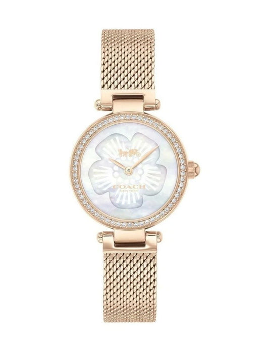 Coach Park Mother of Pearl Dial Ladies Watch - 14503511